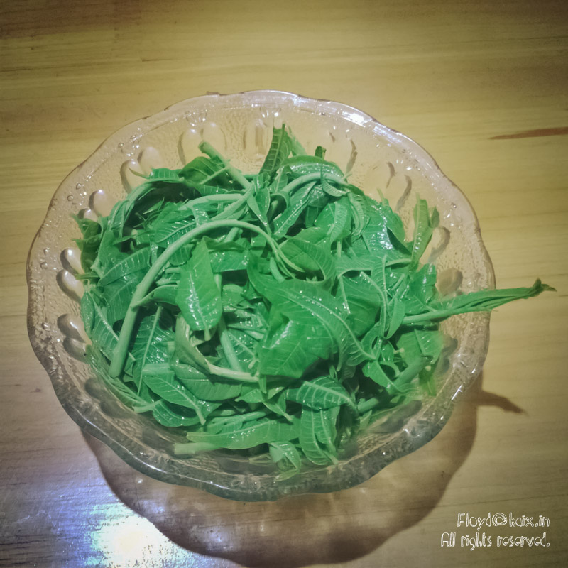 朋友送的香椿