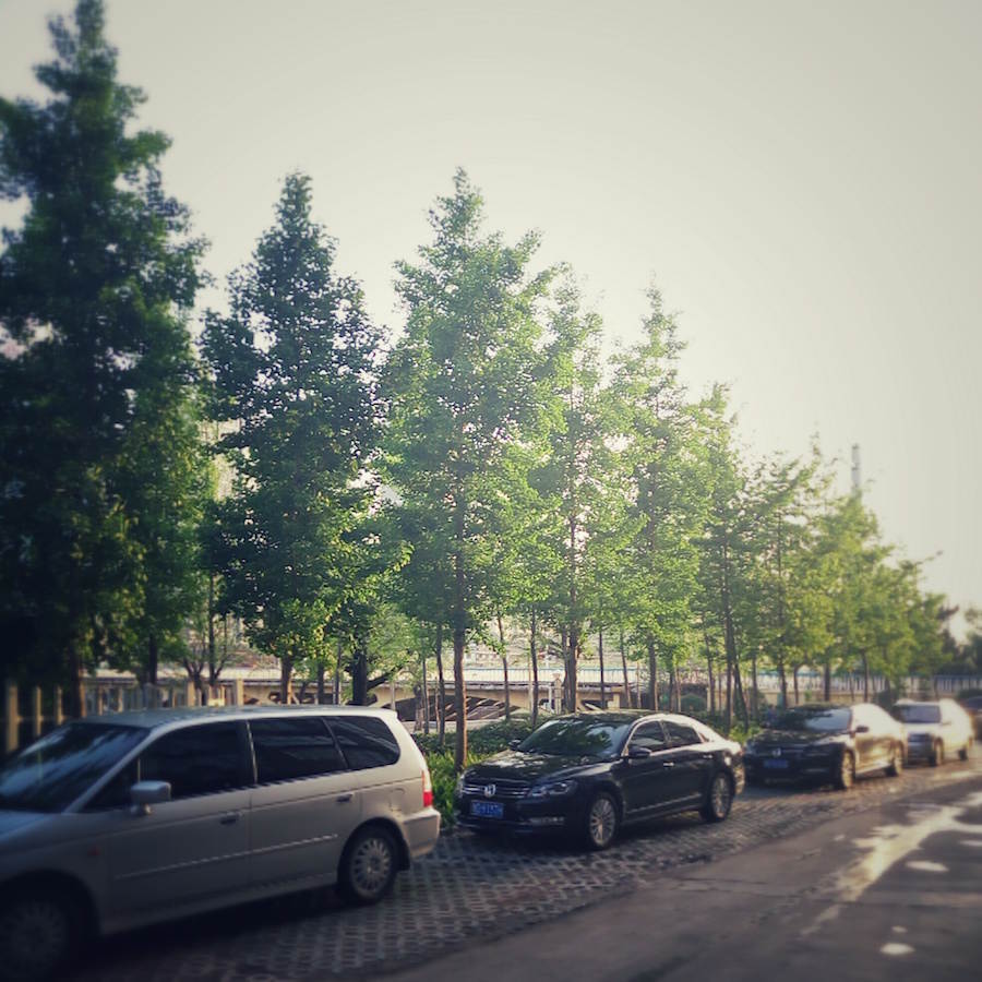 雨后阳光