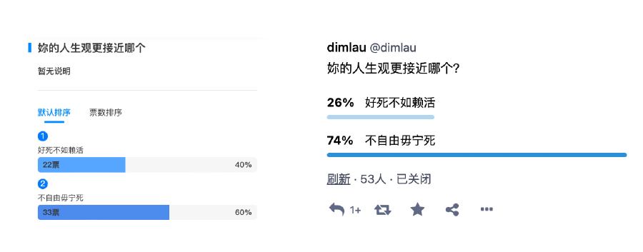 投票结果