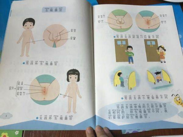 性器官